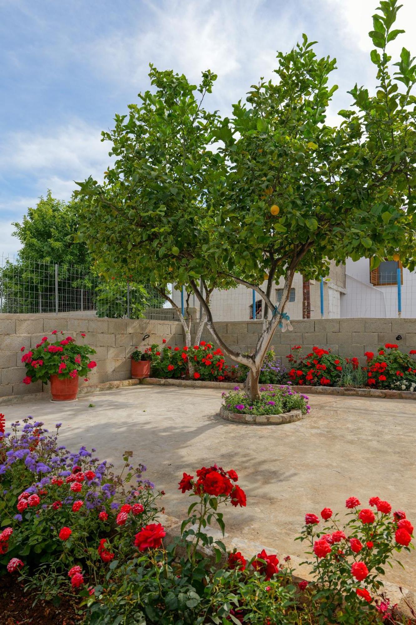 Brahimi Guest House Ksamil Exterior foto